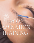 Brow Lamination & Threading Training